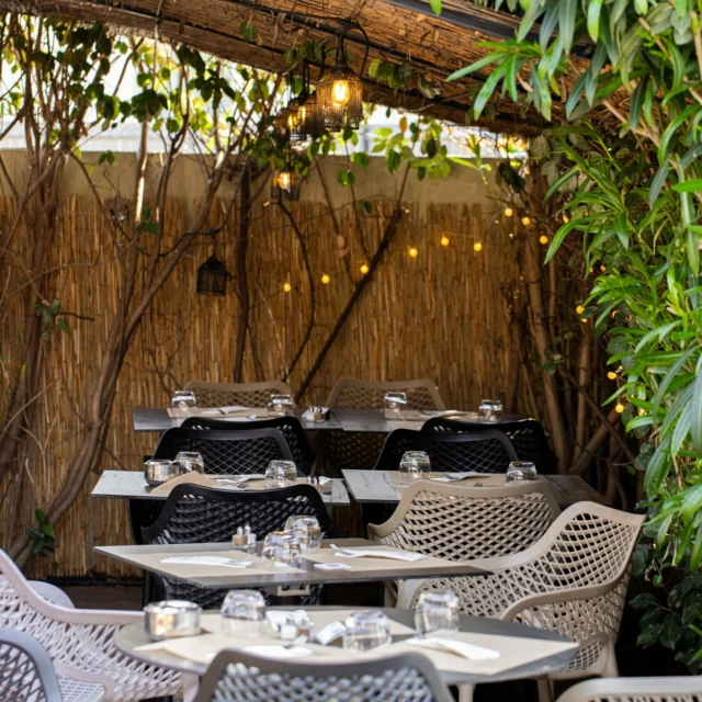 Le menu du marché est disponible le midi, du lundi au vendredi, hors jours fériés. 🌾

En entrée : Crème de betterave, pomme granny et chèvre ou salade de farfalle aux légumes, thon et pistou

En plat : Poisson du jour (selon arrivage), légumes du moment ou Secreto de porc, frites et salade

Pour le dessert, Tarte amandine abricot ou Mousseline vanille, éclat d'oréo ou Cabécou et salade verte

Entrée-Plat ou Plat-Dessert : 18€
Entrée-Plat-Dessert : 20,50€

#latable #emileetfernand #restaurant #food #menu #produitsfrais #toulouse #toulousemaville #foodinstagram #restauranttoulouse